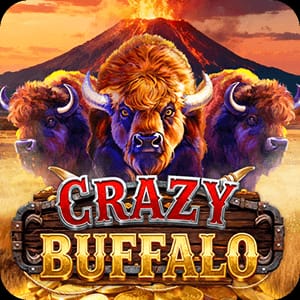 Crazy Buffalo